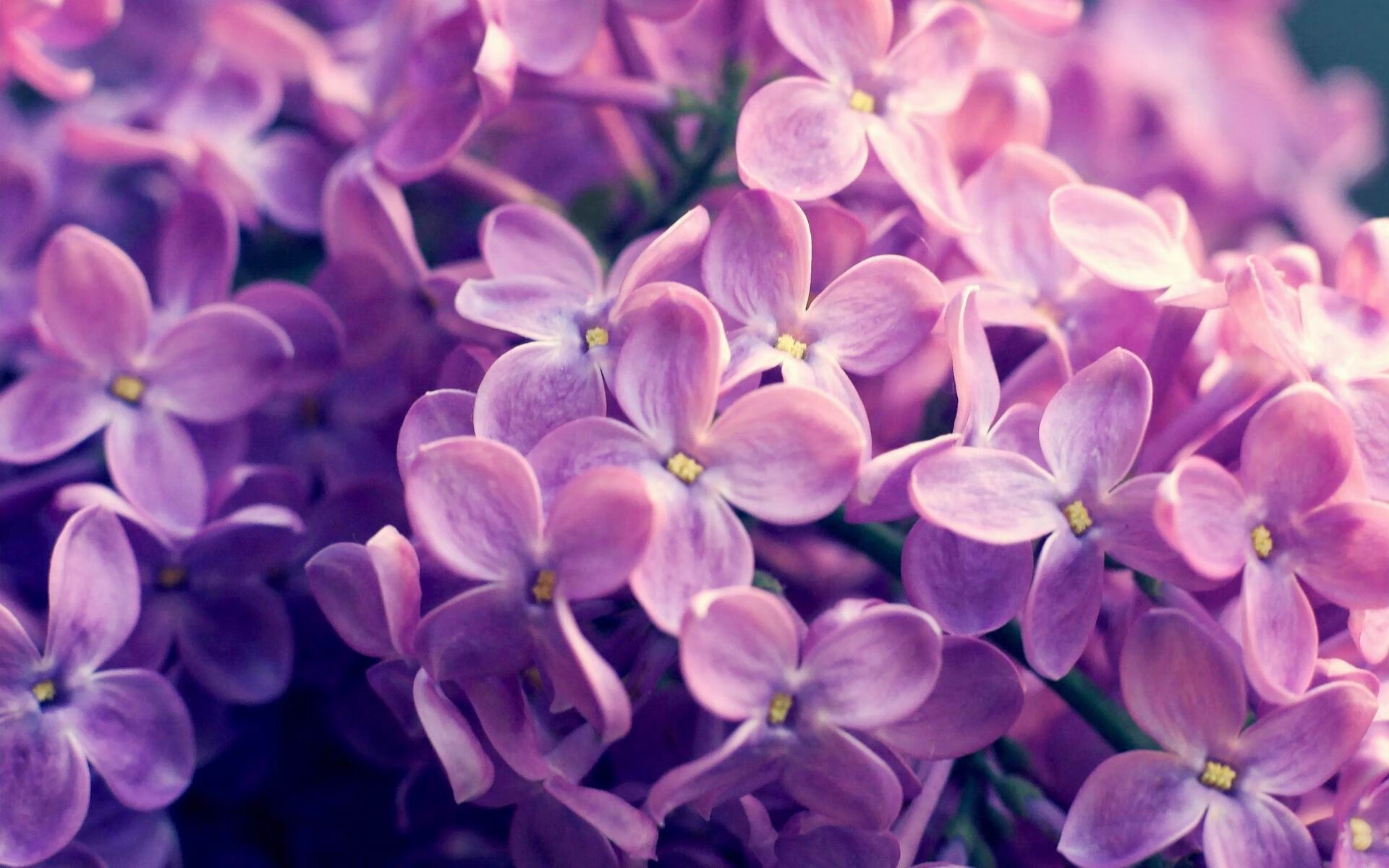 爱游戏网址登录-APEX英雄 俱乐部积极培养新人，apex俱乐部成员等级