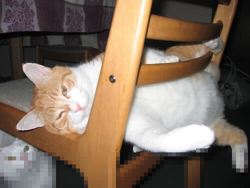 爱游戏网址登录-APEX英雄 俱乐部积极培养新人，apex俱乐部成员等级