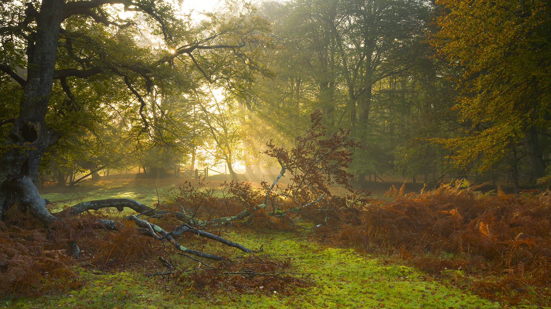 爱游戏登录-【比赛策略】马克·塞尔比：用防守骚扰对手节奏，马克塞尔比练球视频